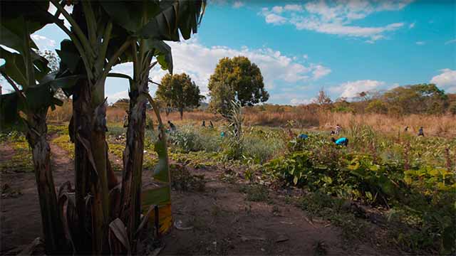 Panfilm Berlin Hamburg Imagefilm Filmproduktion machen lassen Charityfilm Afrika Kinderhilfe Schulen Kinderheim Tansania